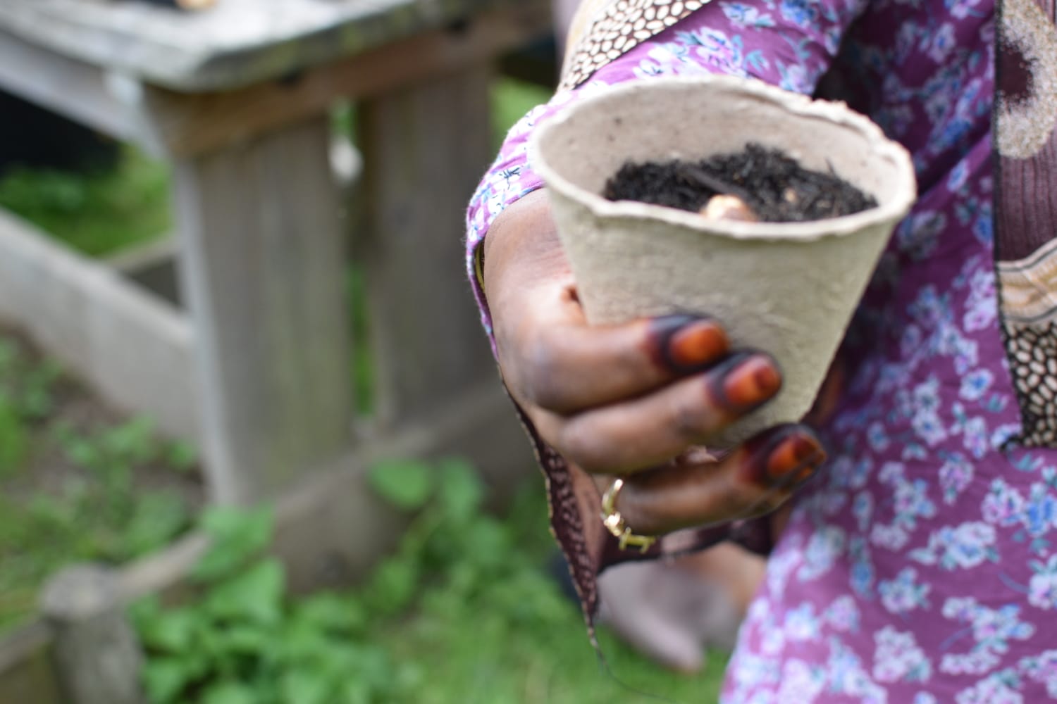 Hands holding a seedling pot